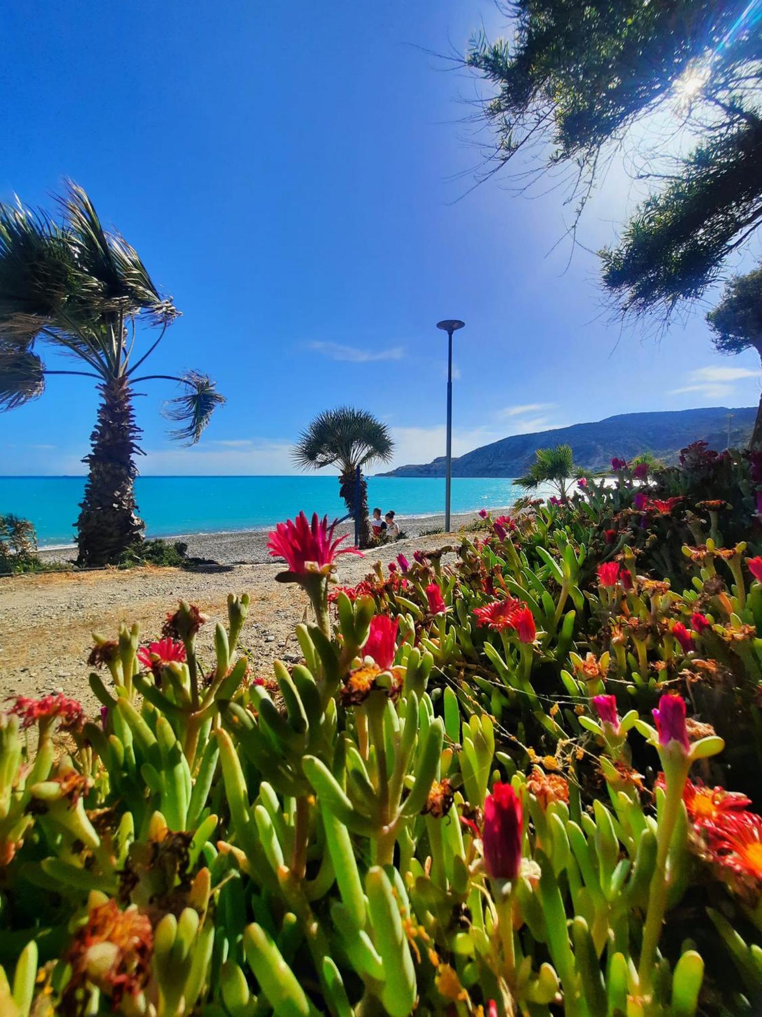 Gorgeous Seaview House Vila Pissouri Exterior foto